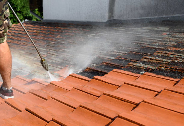 Best Exterior Home Cleaning  in Chatfield, MN