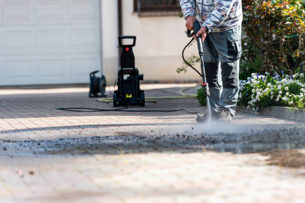 Best House Pressure Washing  in Chatfield, MN
