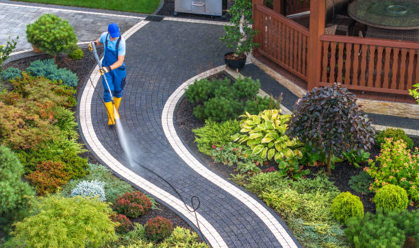Best Roof Power Washing Services  in Chatfield, MN