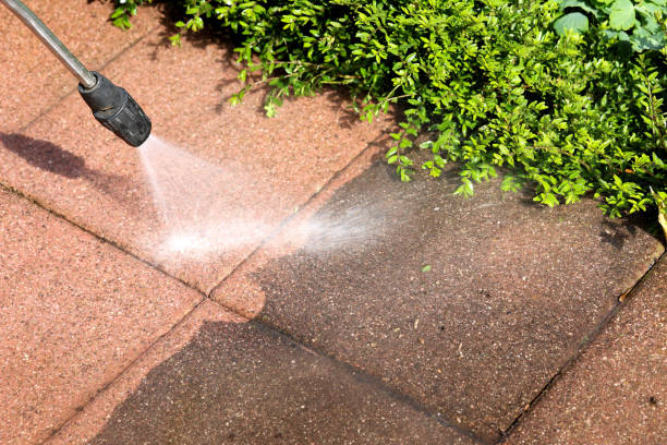 Best Fence Pressure Washing  in Chatfield, MN